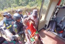 Pangdam XVII Cenderawasih: Semua Pihak Terlibat Penanganan Kasus Paro Pangdam XVII Cenderawasih: Semua Pihak Terlibat Penanganan Kasus Paro