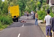 Tabrakan di Gunungkidul Mitsubishi Vs Honda, Pemotor Tewas