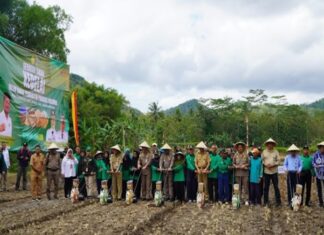 Menteri Pertanian Menanam Kedelai Bersama Warga Gunungkudul