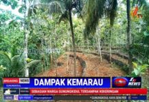Gunungkidul Masih Belum Dapat Keluar dari Masalah Droping Air Bersih