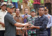 Menanam Seribu Durian Musang King Penuh Dengan Kecemasan