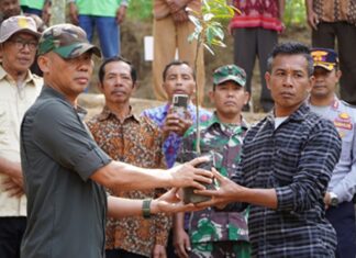 Menanam Seribu Durian Musang King Penuh Dengan Kecemasan