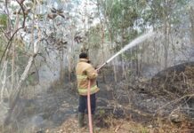 Beberapa Wilayah Kesulitan Air Bersih, Kemarau Panjang Juga Picu Kebakaran Hutan di Gunungkidul