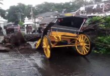 Hujan dan Angin Kencang di DIY, Sejumlah Pohon Tumbang, Bangunan Roboh