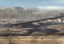 Kandang Hangus Terbakar, 18 Ribu Ekor Ayam Ludes Terpanggang