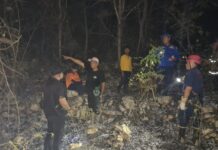 Si Jago Merah Mengamuk, Dua Hektar Hutan Wanagama Ludes Terbakar