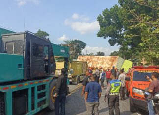 Dua Orang Meninggal Dunia Akibat Kecelakaan di Bantul, Berikut Data Korban & Kronologi Kecelakaan