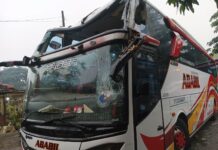 Bus Rombongan Wisatawan Tertimpa Pohon Tumbang