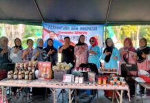 Perhimpunan UKM Indonesia : Kementerian UMKM dan Koperasi Berpisah, Kinerja Harus Lebih Gesit