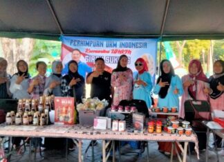 Perhimpunan UKM Indonesia : Kementerian UMKM dan Koperasi Berpisah, Kinerja Harus Lebih Gesit