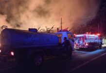 Kandang Ayam Terbakar, Kerugian Ratusan Juta Rupiah