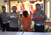 Terungkap! Oral Seks dalam Mobil, Penyebab Utama Tabrak Lari di Sleman