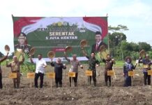 Polresta Sleman Tanam Jagung 1,6 Hektare