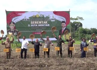 Polresta Sleman Tanam Jagung 1,6 Hektare