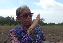 Belum ada Rencana Ganti Rugi Hewan Ternak Terkena PMK