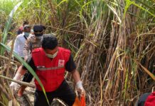 Penemuan Tengkorak Kepala Manusia Gegerkan Warga