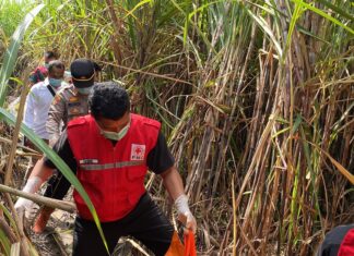 Penemuan Tengkorak Kepala Manusia Gegerkan Warga