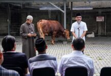 Pertamina Patra Niaga Sembelih 833 Hewan Qurban