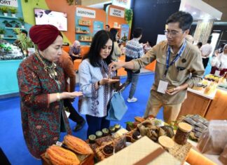 Mendikdasmen Kunjungi Sekolah Indonesia Cairo