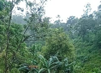 3 Prajurit TNI AD Terdampak Longsor Saat Evakuasi Warga Padang Panjang, Dua Hilang Kontak