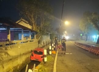 Kurang Konsentrasi, Mobil Ayla Nyungsep di Kali