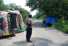 Tak Kuat Nanjak, Truk Bermuatan Pakan Hantam CRV