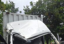 Kabin Mobil Expedisi Ringsek Tertimpa Pohon Saat Melaju