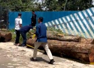 Lima Orang Resmi jadi Tersangka Kasus Pembalakan Liar