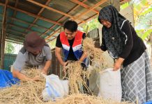 SI CADIAK Wujud Pengelolaan Limbah Produktif ala Pertamina Patra Niaga