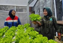 Patra Niaga Perkuat Program TJSL Berbasis Pemberdayaan Perempuan di Berbagai Wilayah Indonesia