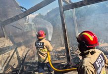 Bekas Kandung Puyuh Ludes Terbakar