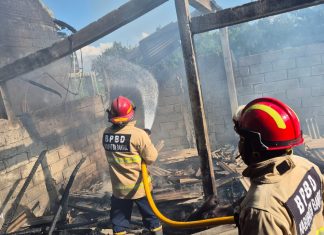 Bekas Kandung Puyuh Ludes Terbakar