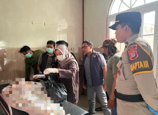 Pencari Jerami Tewas Tersambar Petir
