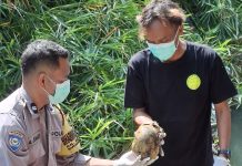 Geger! Dua Mayat Tinggal Tulang Belulang Ditemukan Warga di Bantul