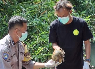 Geger! Dua Mayat Tinggal Tulang Belulang Ditemukan Warga di Bantul