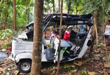 Hilang Kendali, Bajaj Nyusep di Perkebunan Warga