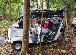 Hilang Kendali, Bajaj Nyusep di Perkebunan Warga