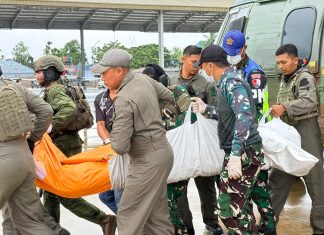 Menkopolkam Kutuk Pembakaran & Pembunuhan Pilot AMA Air oleh KKB Papua