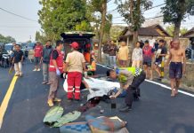 Diduga Tersenggol Pajero, Pengendara Motor Tewas Terlindas Mikrobus