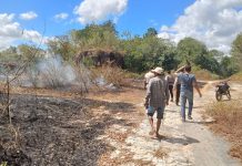 Kebakaran Melanda Lahan Seluas 2.000 Meter di Bantul