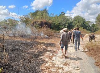 Kebakaran Melanda Lahan Seluas 2.000 Meter di Bantul