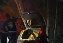 Minibus Masuk Jurang di Jalan Imogiri-Dlingo