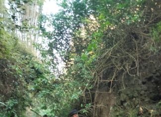 Kakek Pencari Rumput Hilang di Hutan Lereng Merapi