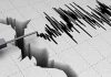 4.258 Gempa Susulan Terjadi Pasca.Gempa Utama di Flores NTT