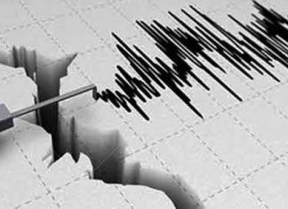 4.258 Gempa Susulan Terjadi Pasca.Gempa Utama di Flores NTT