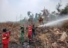 TNI Siagakan 73.766 Personel Tangani Karhutla di Berbagai Wilayah