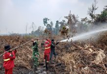 TNI Siagakan 73.766 Personel Tangani Karhutla di Berbagai Wilayah