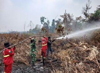 TNI Siagakan 73.766 Personel Tangani Karhutla di Berbagai Wilayah