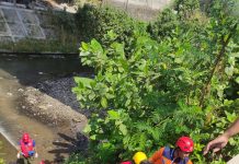 Pria Bertato Ditemukan Tewas di Bawah Jembatan