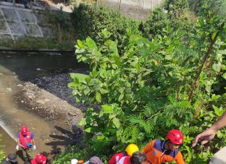 Pria Bertato Ditemukan Tewas di Bawah Jembatan